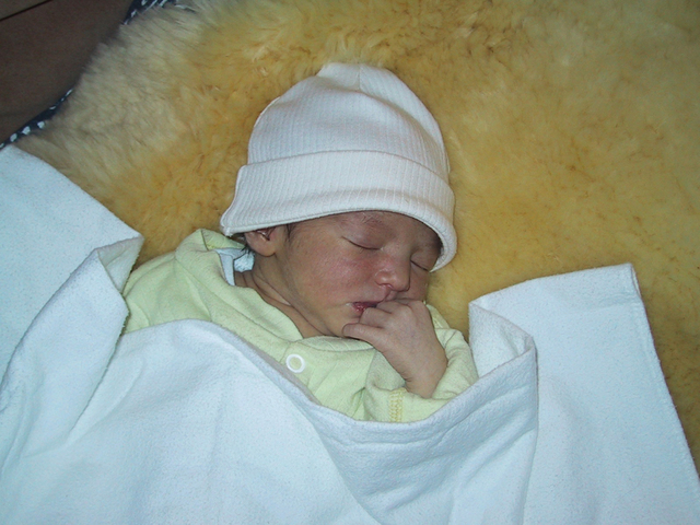 115-1507_IMG.jpg