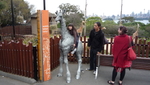 P1020617.JPG