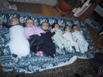 109-0962_IMG.JPG