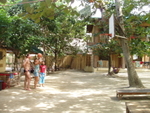 P1010103.JPG