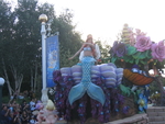 IMG_1962.jpg