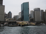 IMG_0545.JPG